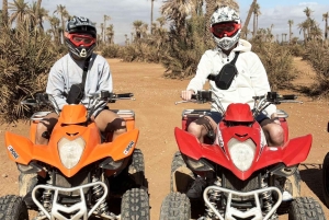 Marrakech : Kameliratsastus, Quad Bike Palmeraien alueella ja kuljetus