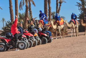 Marrakech Camel Ride & Quad Bike in Palmeraie