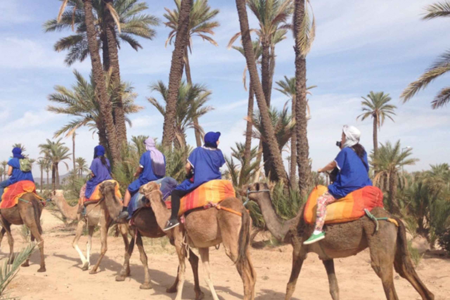 Around Marrakech: Camel Ride in Palm Groves including Tea