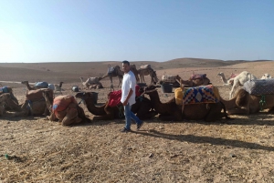Marrakech: Camel Safari at Agafay Desert with Lunch