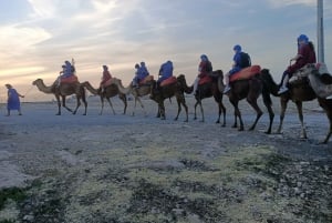 Marrakech: Camel Safari at Agafay Desert
