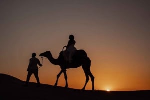 Marrakesz: wycieczka 1-dniowa do doliny Ourika, lunch + spacer z przewodnikiem