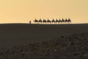 Marrakesz: wycieczka 1-dniowa do doliny Ourika, lunch + spacer z przewodnikiem