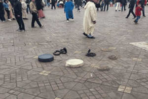 Marrakech Stad Hoogtepunten Halve Daagse Tour