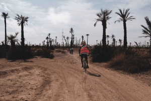 Marrakech: Cykelutflykt i Palm Groove med lokal frukost