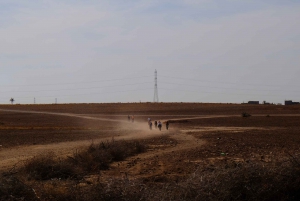 Marrakech: Cykelutflykt i Palm Groove med lokal frukost