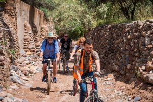 Marrakech: Sykkeltur i Palm Groove med lokal frokost