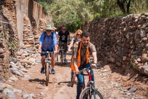 Marrakech: Radtour im Palmenhain mit lokalem Frühstück
