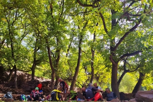 Марракеш: дневной тур по электронному велосипеду и Атласские горы