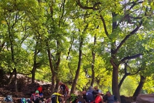 Marrakech: Dag E-Bike Tour & Atlasbergen