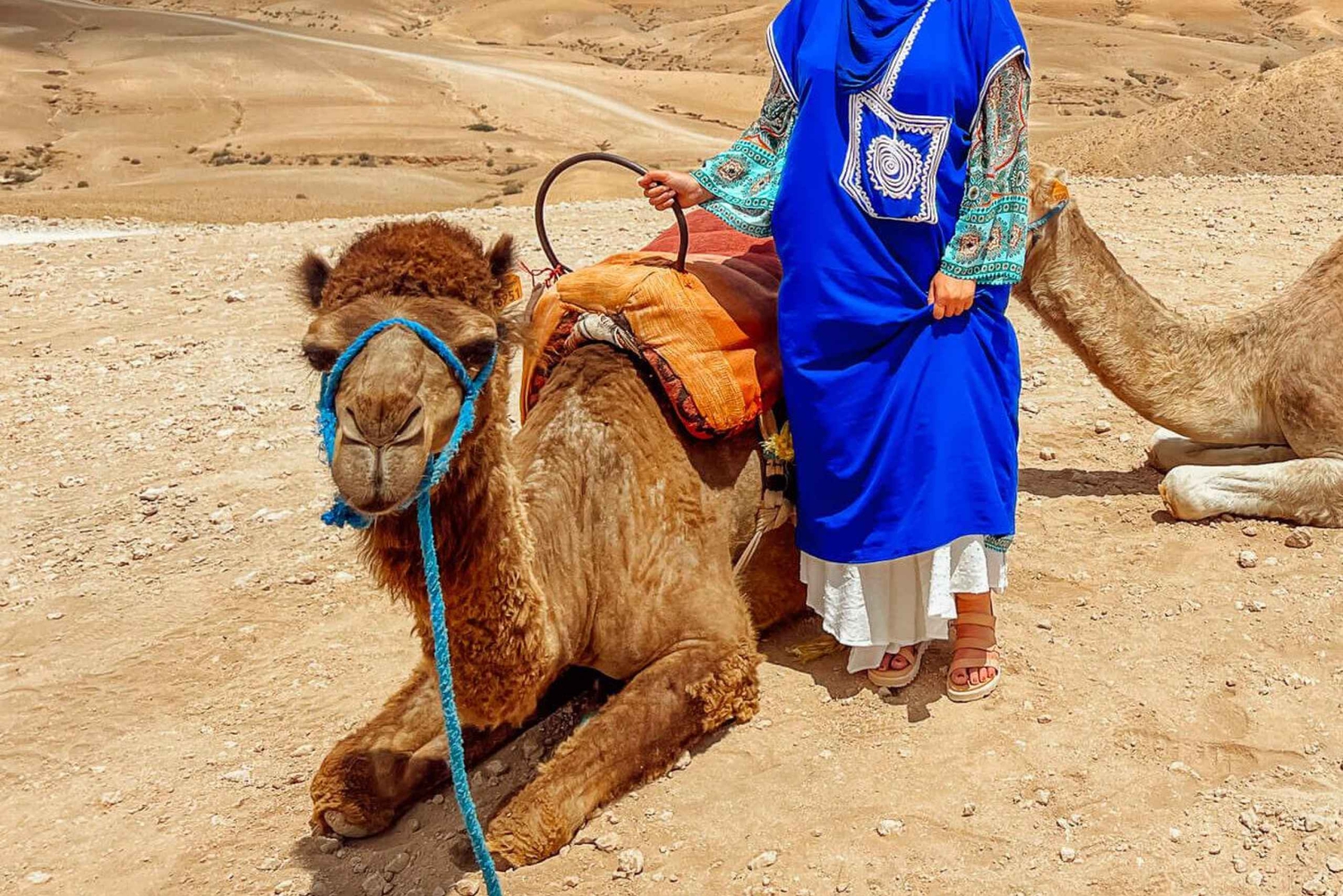 マラケシュ：砂漠の1日パス、プール、ランチ