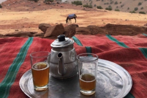 Marrakech: Atlas Mountains Summit Day Trek 2700m