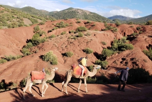 Marrakech: Day Trip to Atlas Mountains and Berber Villages