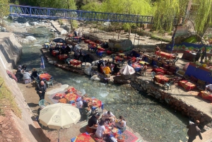 Marrakech: Dagtrip naar Atlasgebergte Ourika waterval