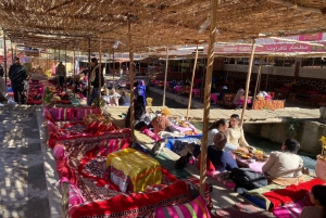 Marrakech: Dagtrip naar Atlasgebergte Ourika waterval