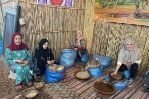 Marrakech: Dagstur til Atlasbjergene Ourika-vandfaldet