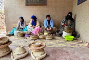 Marrakech: Dagstur til Atlasbjergene Ourika-vandfaldet