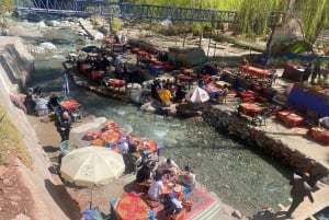 Marrakech: Dagstur til Atlasbjergene Ourika-vandfaldet