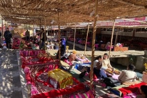 Marrakech: Dagstur til Atlasbjergene Ourika-vandfaldet