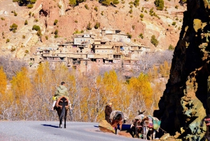 Marrakech: Day Trip To Atlas Mountains, Valleys & Camel Ride