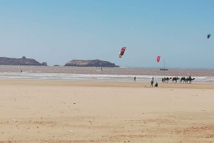 Marrakesch: Tagestour nach Essaouira & Medina & Alter Hafen