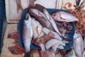 Marrakesch: Tagestour nach Essaouira & Medina & Alter Hafen