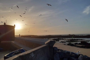Marrakesch: Tagestour nach Essaouira & Medina & Alter Hafen