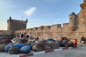 Marrakesch: Tagestour nach Essaouira & Medina & Alter Hafen