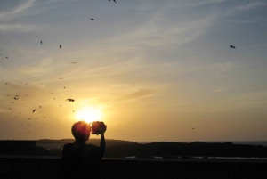 Marrakesch: Tagestour nach Essaouira & Medina & Alter Hafen