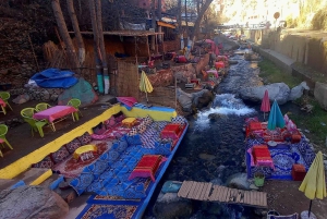 Marrakech : day trip to Ourika valley lunch + guid walk