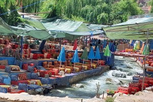 Marrakech : day trip to Ourika valley lunch + guid walk