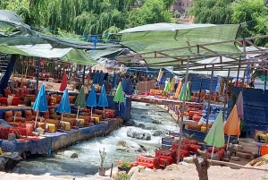 Marrakech : day trip to Ourika valley lunch + guid walk