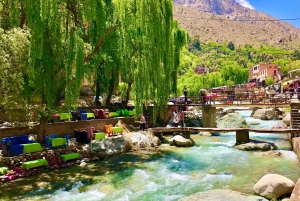 Marrakech : day trip to Ourika valley lunch + guid walk