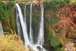Excursion d'une journée aux cascades d'Ouzoud et promenade en bateau au départ de Marrakech
