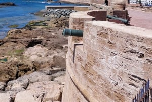 Marrakech: escursione alla bellissima e storica Essaouira