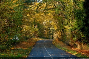 Excursion d'une journée aux cascades d'Ouzoud avec guide et sortie en bateau