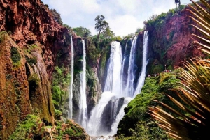 Marraquexe: excursão à cascata de Ouzoud