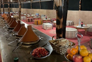 Desierto de Marrakech: Cena-espectáculo al atardecer en el desierto de Agafay