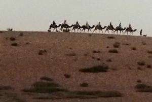 Deserto di Marrakech: Cena spettacolo al tramonto nel deserto di Agafay