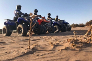 Marrakech: Firhjulingstur med solnedgang i ørkenen og palmelunden med te