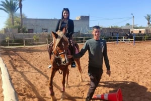 Marrakech: Passeio a cavalo no deserto e em Palmeraie e traslado