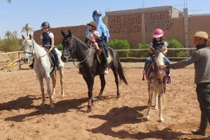 Marrakech: Desert and Palmeraie Horse Riding Tour & Transfer