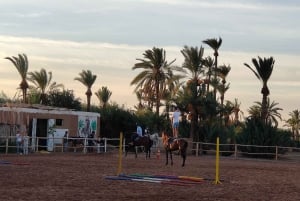 Marrakech : Randonnée à cheval dans le désert et la Palmeraie & transfert