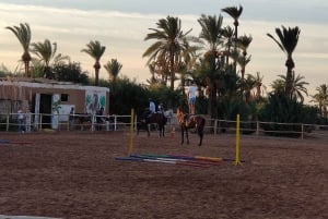 Marrakech: Desert and Palmeraie Horse Riding Tour & Transfer