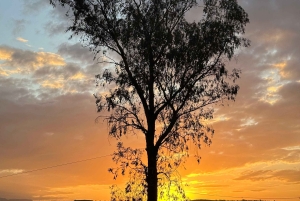 Marrakech: Desert Excursion, Quad, Camel, Dinner & Fireshow