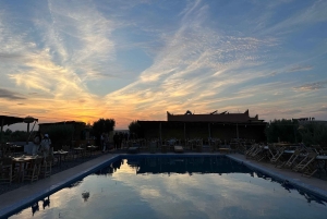 Marrakech: Desert Excursion, Quad, Camel, Dinner & Fireshow