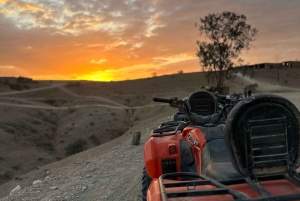 Marrakech: Desert Excursion, Quad, Camel, Dinner & Fireshow