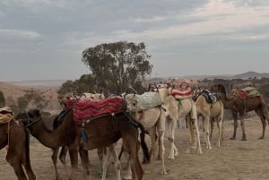 Marrakech: Desert Excursion, Quad, Camel, Dinner & Fireshow