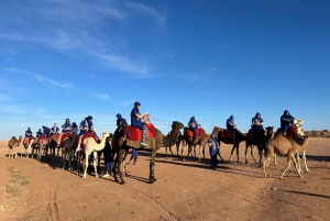 Marrakech : Desert-Palm Grove Package, Quad, Camel & Dinner