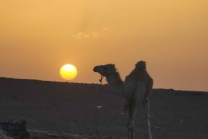 Marrakech Woestijn: Zwembad, Quadrijden, Zonsondergang Diner Vuurshow